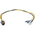 Camplex HF-EDWBP3ST-06IN LEMO EDW to Dual ST & 6-Pin AMP MATE-N-LOCK Power Fiber Breakout Cable - 6 Inch