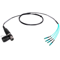 Photo of Camplex opticalCON QUAD to QUAD SC Multimode Fiber Optic Breakout NKO4M-SC-A-0 - 18 Inch
