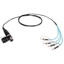 Photo of Camplex opticalCON QUAD to QUAD ST Multimode Fiber Optic Breakout NKO4M-ST-A-0 - 18 Inch