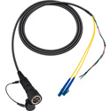 Photo of Camplex LEMO PUW to Duplex LC & Blunt Lead In-Line Fiber Breakout - 10 Foot