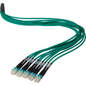 Camplex HFPM310LCLC0100 10-Channel LC-LC OM3 Multimode Plenum Fiber Optic Cable - 100 Foot