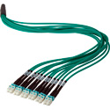 Camplex HFPM312LCLC0100 12-Channel LC-LC OM3 Multimode Plenum Fiber Optic Cable - 100 Foot