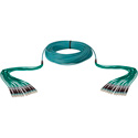 Camplex 18-Channel LC-LC OM3 Multimode Plenum Fiber Optic Cable - 100 Foot
