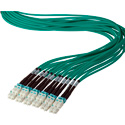 Camplex HFPM324LCLC0100 24-Channel LC-LC OM3 Multimode Plenum Fiber Optic Cable - 100 Foot