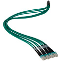 Camplex 8-Channel LC-LC OM3 Multimode Plenum Fiber Optic Cable - 100 Foot