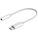 Photo of Hollyland USB-C to 3.5mm Headphone Jack Adapter for LARK 150 - 4 Inch