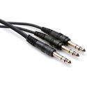 Hosa CYS-105 Y Cable 1/4 Inch TRS to Dual 1/4 Inch TRS - 5 Feet
