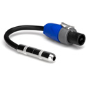 Hosa GSK-116 Speaker Adaptor - 1/4-Inch TS to NEUTRIK speakON - 6 in