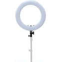 Photo of ikan RLB48-M2 Oryon 18 Inch Ring Light with Phone Mount / Remote and Bag (Version 2)