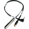 Sescom Recording Cable iPhone Compatible RA 1/8 TRRS-M to 1/4 TS Guitar Jack & 3.5mm Monitoring Jack 1Ft