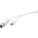Photo of Kramer C-USB31/CB-3 USB 3.1 GEN-2 Cables USB-C Male to USB-B Male - 3 Foot