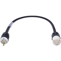 Photo of Laird 15 Amp NEMA Plug to Female Twistlock Power Adapter Cable - 2 Foot