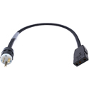 Laird LDC-20NM-BSPF 20 Amp NEMA Plug to Female Bates Style Stage Pin Power Adapter Cable - 2 Foot