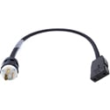 Laird LDC-20TM-BSPF 20 Amp Twistlock Plug to Female Stage Pin Power Adapter Cable - 2 Foot