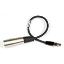 Photo of Lectrosonics MCSRXLR 12 Inch Audio Cable for SR Receiver TA3F Plug to 3 Pin Male XLR