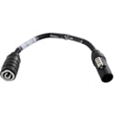 Lex A5037 12/3 SJOOW 12-Inch NEUTRIK powerCON TRUE1 TOP Plug to NEUTRIK powerCON Chassis Adapter - Gray - 1 Foot