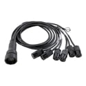 LEX EGBO100-6-515 EverGrip Male LSC19 to Female Edison Break-Out Cable - 6 Foot
