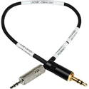 Sescom DSLR Cable 3.5mm TRS Line to 2.5mm TRS Mic for Zoom H4N-PRO - 9 Inch