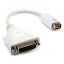 Photo of Apple Mini-DVI to DVI Adapter Equivalent to Apple M9321G/B
