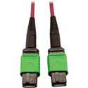 Tripp Lite N846D-01M-16AMG Multimode Fiber Optic Cable 400G OM4 Plenum MTP/MPO-APC F/F - 1 Meter