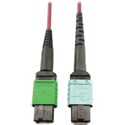 Tripp Lite N846D-01M-16CMG MMF Fiber Optic Cable 400G MTP/MPO-APC to 24F MTP/MPO-UPC F/F - 1 Meter