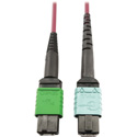 Photo of Tripp Lite N846D-01M-16CMG MMF Fiber Optic Cable 400G MTP/MPO-APC to 24F MTP/MPO-UPC F/F - 1 Meter