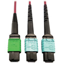 Photo of Tripp Lite N846D-01M-16DMG MMF Fiber Optic Cable MTP/MPO-APC to x2 12F MTP/MPO-UPC F/F - 1 Meter