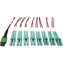 Photo of Tripp Lite N846D-01M-16EMG MMF Fiber Optic Breakout Cable 16F MTP/MPO-APC to x8 LC F/M - 1 Meter