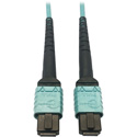 Tripp Lite N846D-01M-24AAQ MMF Fiber Optic Cable OM4 Plenum 400G 50 24F MTP/MPO-PC F/F - 1 Meter