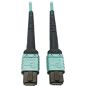 Photo of Tripp Lite N846D-01M-24AAQ MMF Fiber Optic Cable OM4 Plenum 400G 50 24F MTP/MPO-PC F/F - 1 Meter