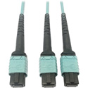 Tripp Lite N846D-01M-24BAQ MMF Fiber Optic Cable 24F MTP/MPO-PC to x2 12F MTP/MPO-PC F/F - 1 Meter