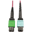 Tripp Lite N846D-05M-16CMG MMF Fiber Optic Cable 400G MTP/MPO-APC to 24F MTP/MPO-UPC F/F - 5 Meter