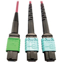 Photo of Tripp Lite N846D-05M-16DMG MMF Fiber Optic Cable MTP/MPO-APC to x2 12F MTP/MPO-UPC F/F - 5 Meter