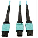 Tripp Lite N846D-05M-24BAQ MMF Fiber Optic Cable 24F MTP/MPO-PC to x2 12F MTP/MPO-PC F/F - 5 Meter