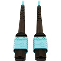 Photo of Tripp Lite N846D-10M-24AAQ MMF Fiber Optic Cable OM4 Plenum 400G 50 24F MTP/MPO-PC F/F - 10 Meter