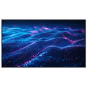 Newline DSX-5526 55-Inch Commercial Non-Interactive Digital Signage Display with Multi Purpose High Brightness