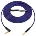 Sescom Catskill Cables Instrument Cable w/ NEUTRIK NP2RX-B 1/4-Inch Right Angle to NP2X-B 1/4-Inch Phone Plug - 10 Foot