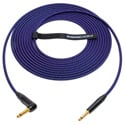 Sescom Catskill Cables OBGCSAS-010 Overbraid Instrument Cable w/ Neutrik RA 1/4 Plug - 10 Foot