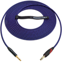 Sescom Catskill Cables Instrument Cable with NEUTRIK NP2X-B 1/4-Inch to SILENTPLUG - 10 Foot