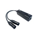 PureLink DIO-0002XLRM PureStream Dante to 2-Out XLR Male Balanced Audio Dongle Interface