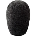 Photo of Point Source Audio CM-WSN-5 Windscreen for CM-i5