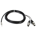 ProCo IPMB2XF-10 Sound Card Cable 3.5mm TRS to 2 XF - 24AWG - 10 ft.