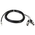 Photo of ProCo IPMB2XF-10 Sound Card Cable 3.5mm TRS to 2 XF - 24AWG - 10 ft.