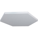Photo of Primacoustic P250 1104 09 Hexus-36 Hexagon Paintable Cloud with Hardware - White