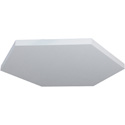 Photo of Primacoustic P250 1106 09 Hexus-48 Hexagon Paintable Cloud with Hardware - White