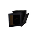 Quest WM2019-11-02 200 Series Wall Mount Enclosure - 11U Black