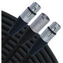 Rapco YMXM2XF-1 3-Pin XLR Male to 2 3-Pin XLR Female Y-Cable - 1 Foot
