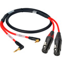 Laird RD1-2MPS2XF-18IN 2-Channel Stereo RA 3.5mm Male to XLR-F Red Camera Audio Input Cable - 18 Inch