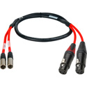 Laird RD1-2MXM2XF-18IN 2-Channel Mini XLR-M to XLR-F Red Camera Audio Input Cable - 18 Inch