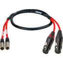 Laird 2-Channel Mini XLR-M to XLR-F Red Camera Audio Input Cable - 18 Inch